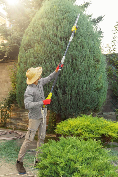 Artificial Turf Installation in Crockett, CA